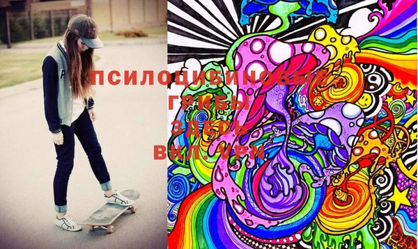мдпв Абаза